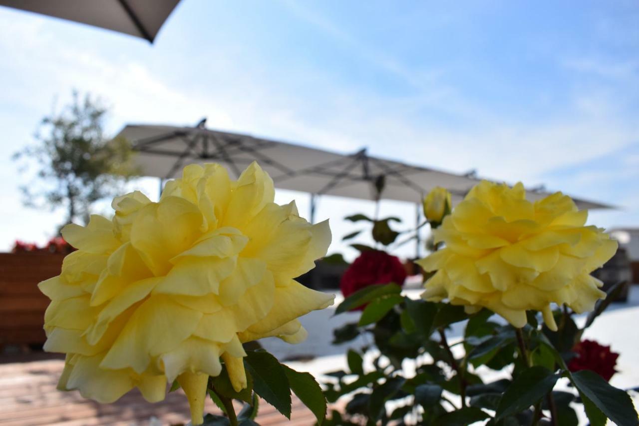 Chateau Linza Resort Tirana Exteriör bild